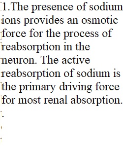 Renal System Discussion 2